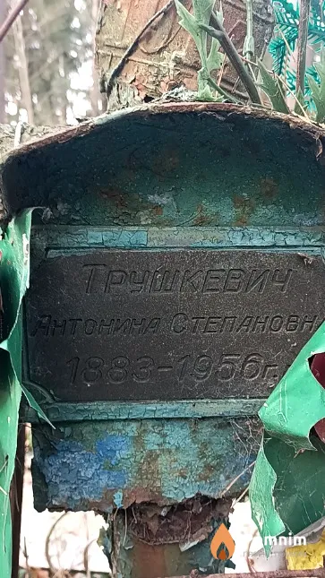 Трушкевич Антонина Степановна