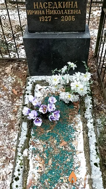 Наседкина Ирина Николаевна