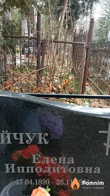 Николайчук Елена Ипполитовна