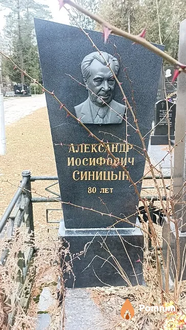 Синицын Александр Иосифович