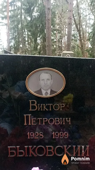 Быковский Виктор Петрович