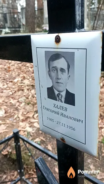 Халев Григорий Иванович