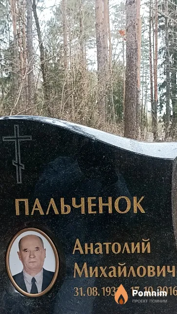 Пальченок Анатолий Михайлович