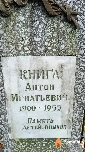 Книга Антон Игнатьевич