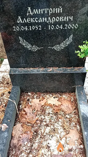Леванов Дмитрий Александрович
