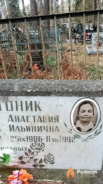 Мартоник Анастасия Ильинична
