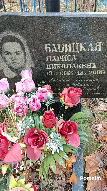 Бабицкая Лариса Николаевна