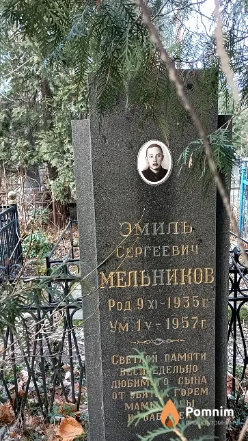 Мельников Эмиль Сергеевич