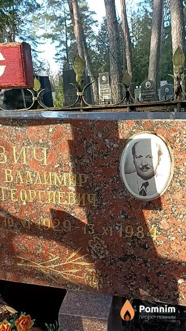 Цитович Владимир Георгиевич