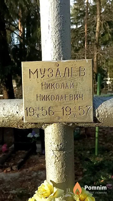 Музалёв Николай Николаевич
