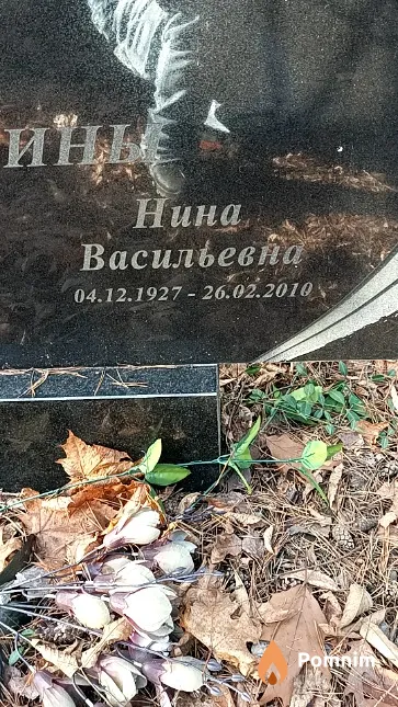Никитина Нина Васильевна