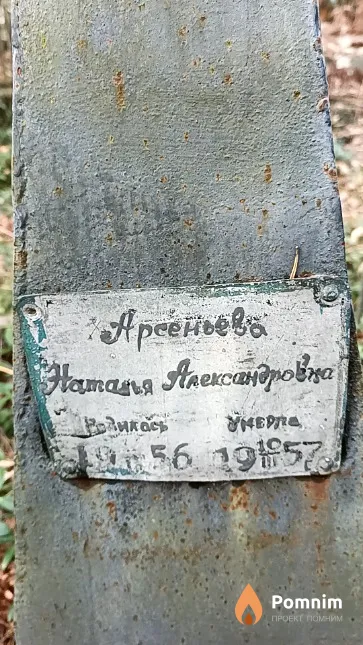 Арсеньева Наталья Александровна