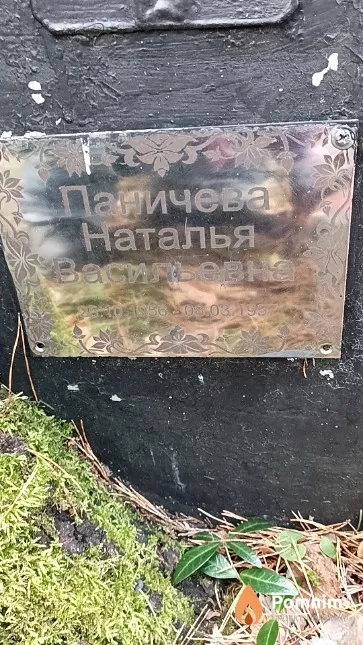 Паничева Наталья Васильевна
