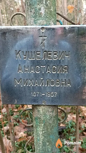 Кушелевич Анастасия Михайловна