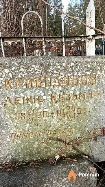 Криводубов Денис Кузьмич