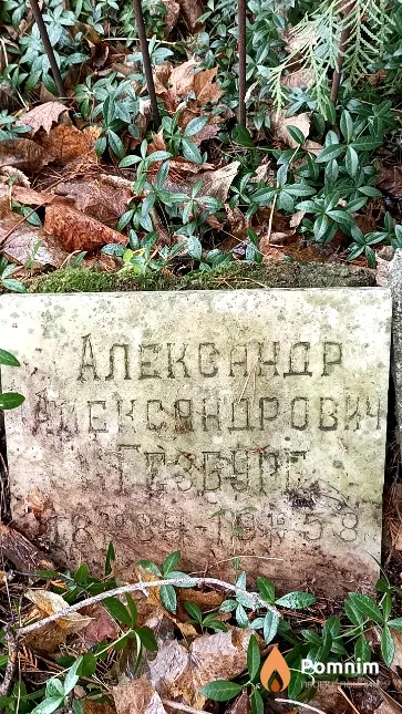 Гезбург Александр Александрович