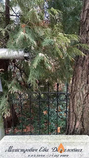 Майстрович Ева Даниловна