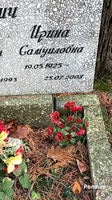 Максимович Ирина Самуиловна