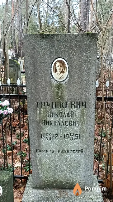 Трушкевич Николай Николаевич