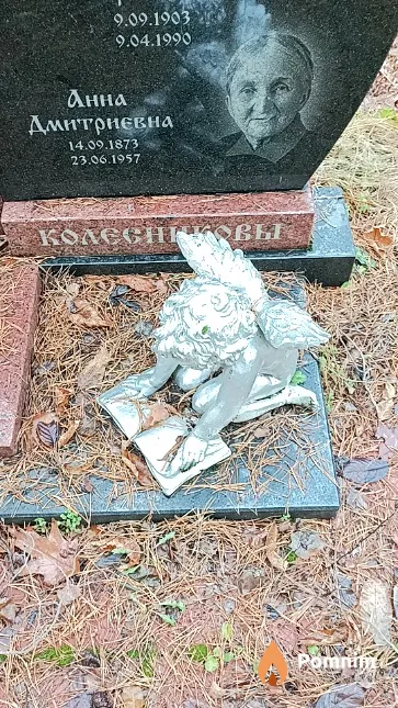 Колесникова Анна Дмитриевна