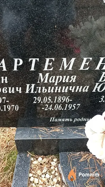 Артеменя Мария Ильинична