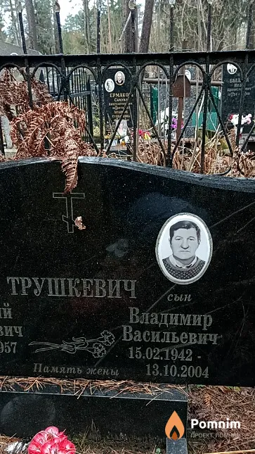 Трушкевич Владимир Васильевич