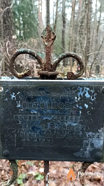 Литвинов Анатолий Сергеевич