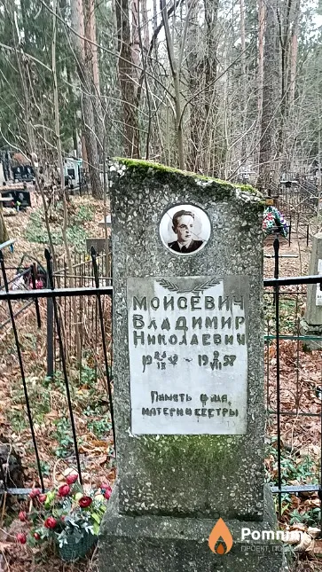 Мойсевич Владимир Николаевич