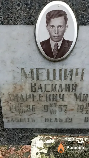 Мешич Василий Андреевич