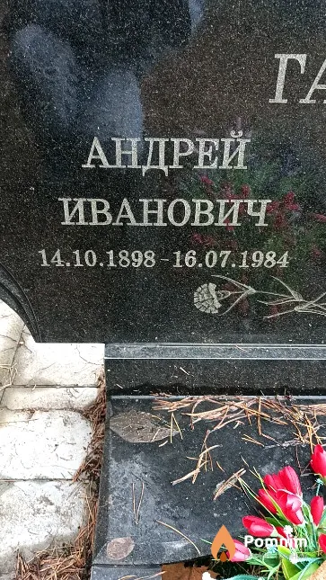 Гапон Андрей Иванович