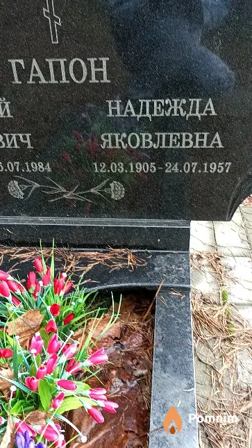 Гапон Надежда Яковлевна