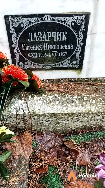 Лазарчик Евгения Николаевна