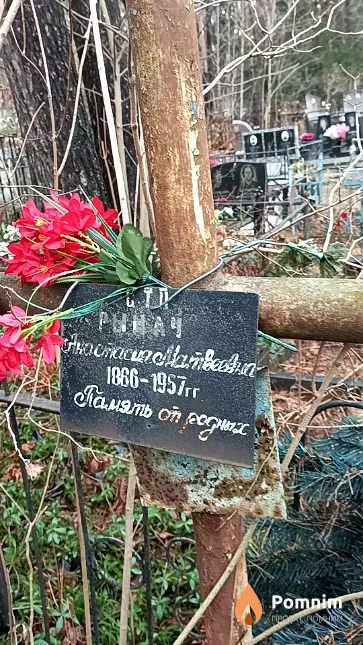 Рынач Анастасия Матвеевна