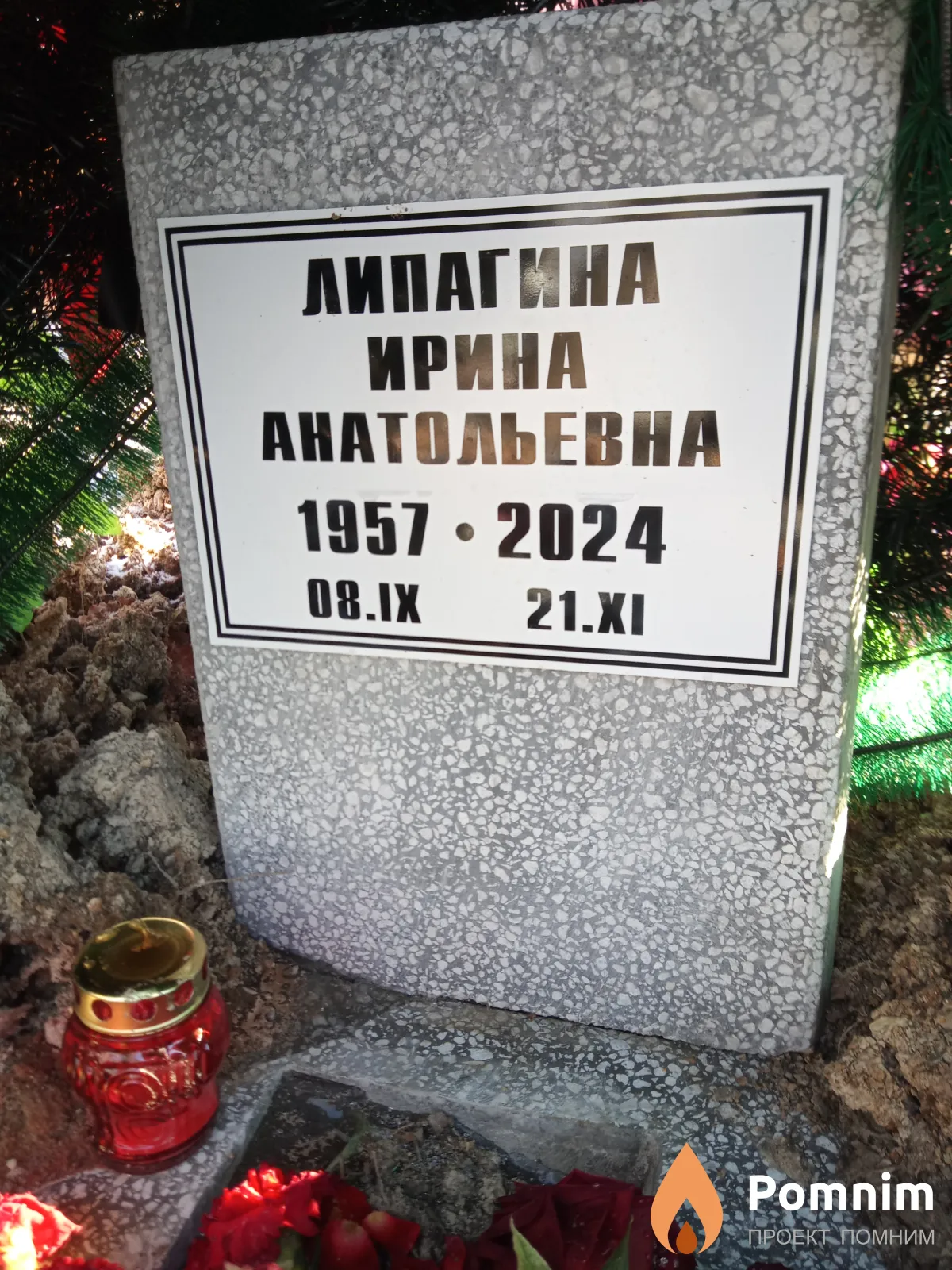 Липагина Ирина Анатольевна