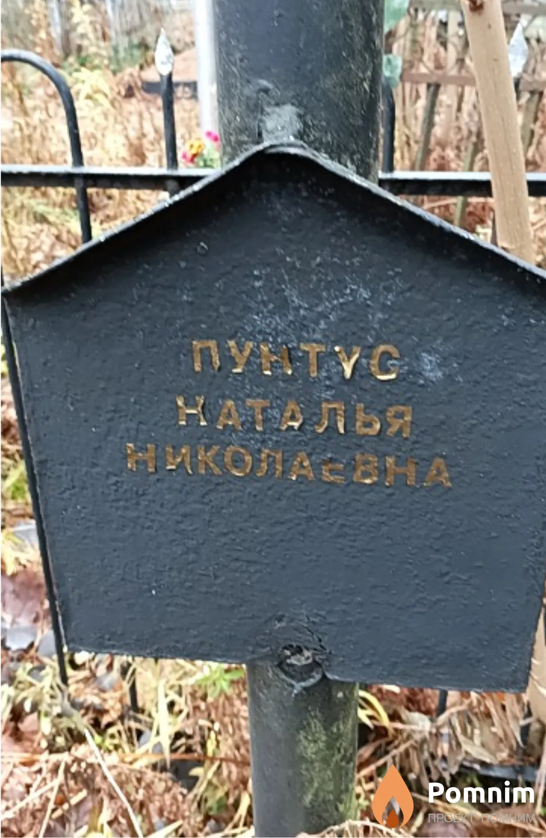 Пунтус Наталья Николаевна