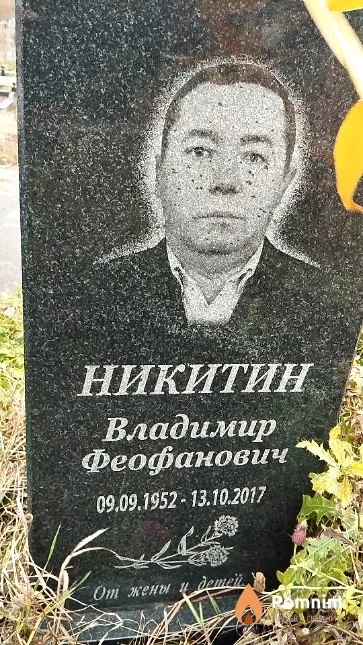 Никитин Владимир Феофанович