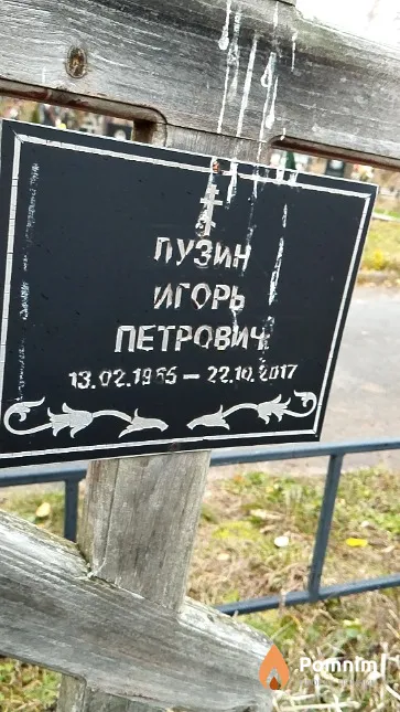 Лузин Игорь Петрович
