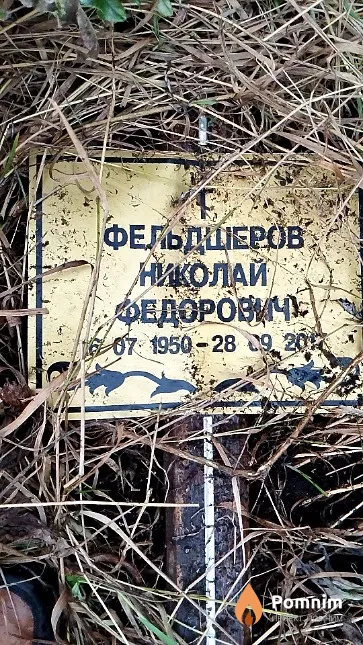 Фельдшеров Николай Фёдорович