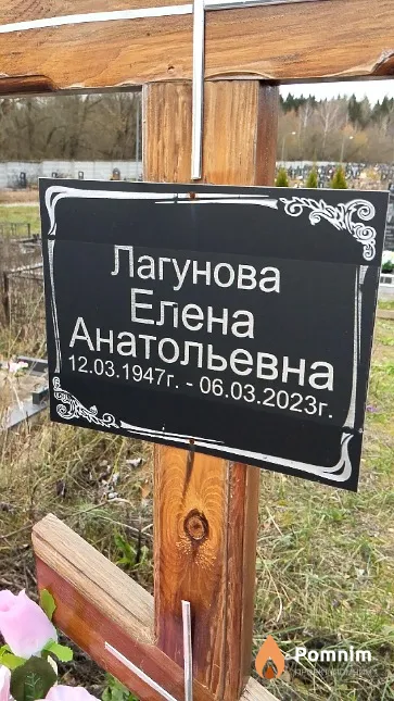 Лагунова Елена Анатольевна