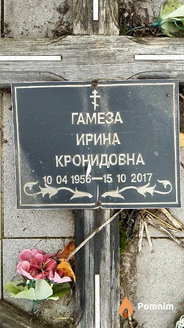 Гамеза Ирина Кронидовна