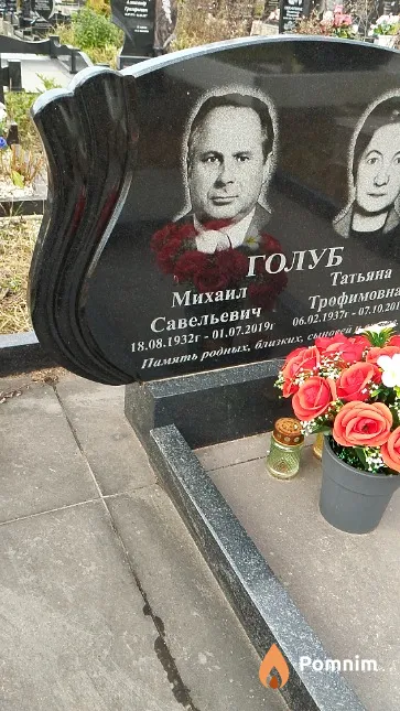 Голуб Михаил Савельевич