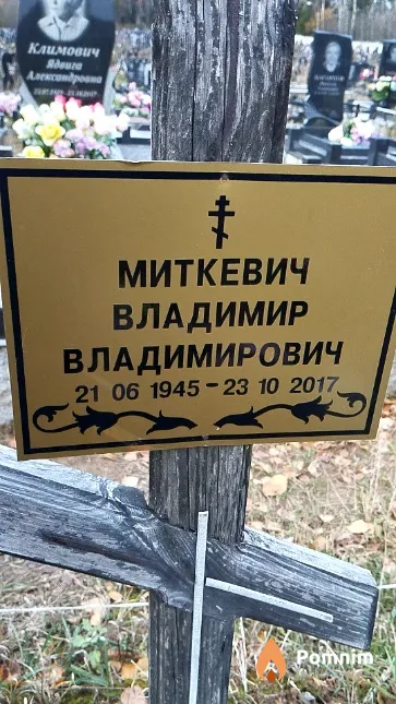 Миткевич Владимир Владимирович