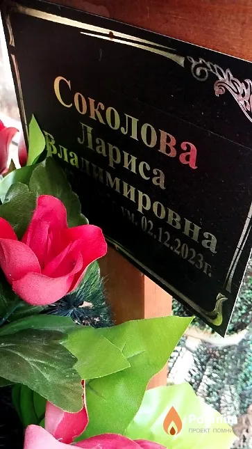Соколова Лариса Владимировна