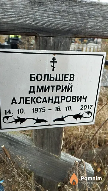 Большев Дмитрий Александрович