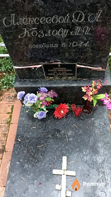 Алексеева Д. А.