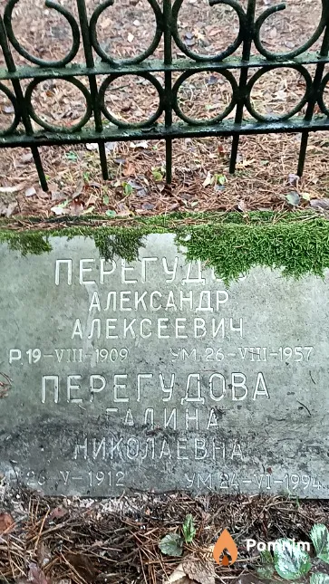 Перегудов Александр Алексеевич