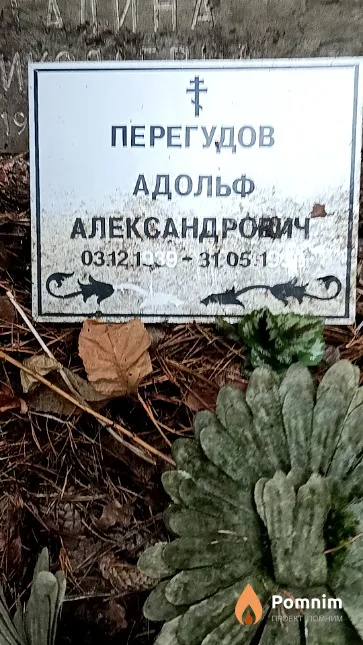 Перегудов Адольф Александрович