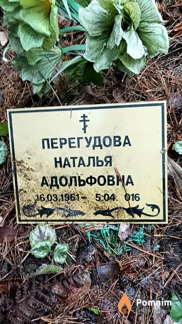 Перегудова Наталья Адольфовна