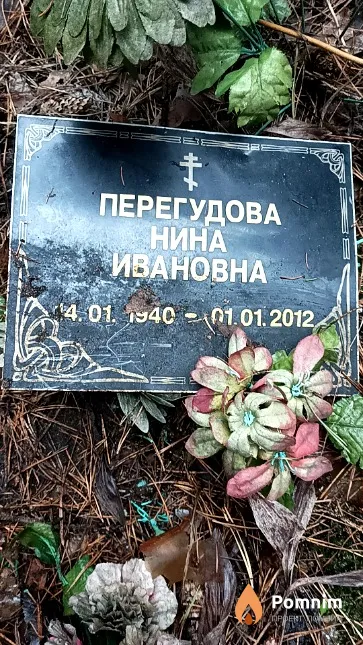 Перегудова Нина Ивановна