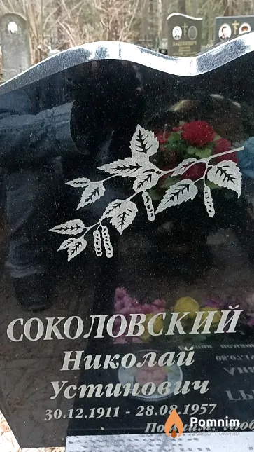 Соколовский Николай Устинович